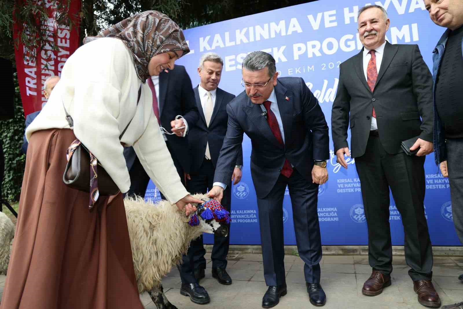 Trabzon&rsquo;da hayvancılığa destek s&uuml;r&uuml;yor