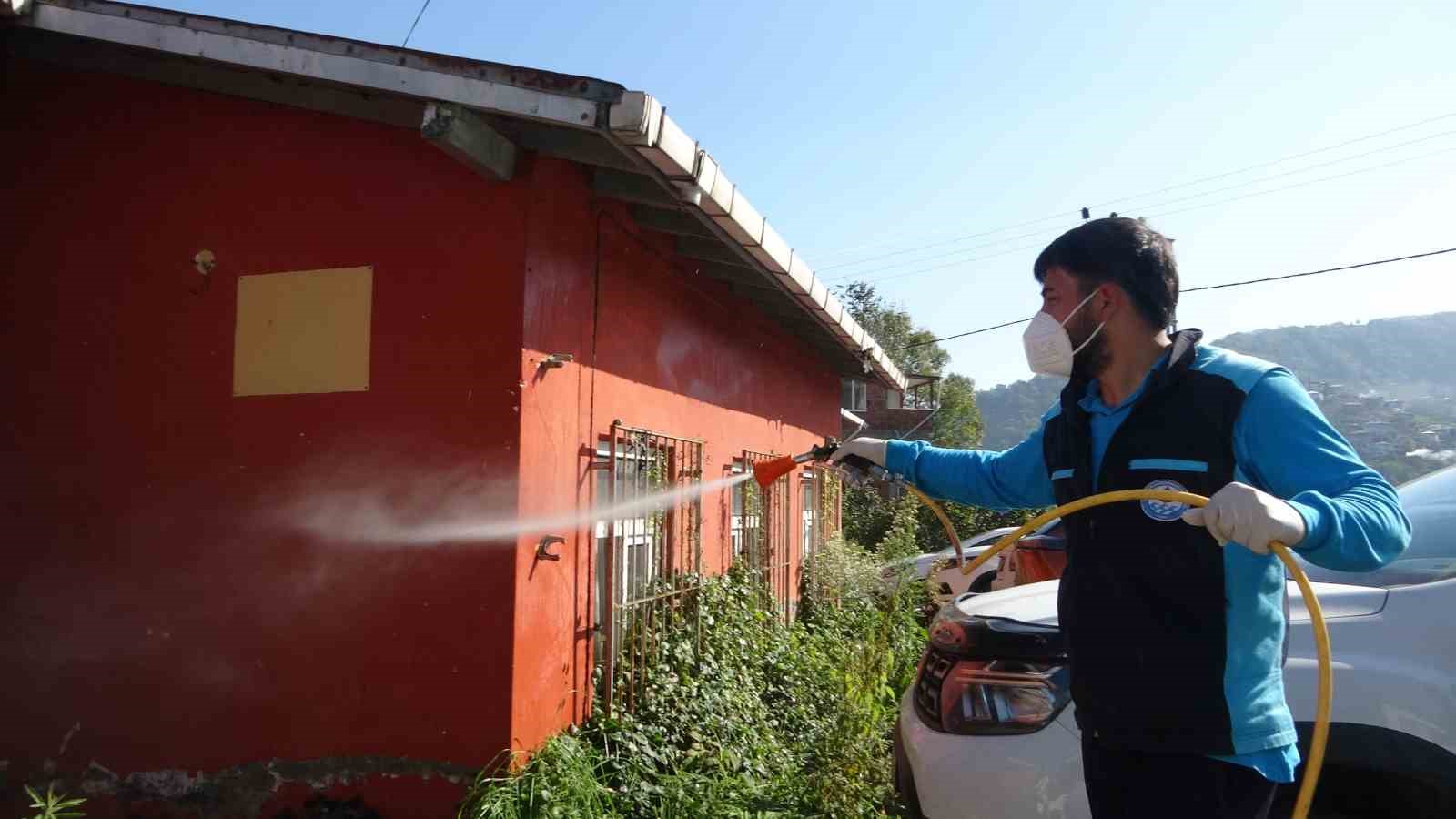 Trabzon&rsquo;da kokarcaya karşı seferberlik sonu&ccedil; veriyor, kokarca pop&uuml;lasyonu azalıyor