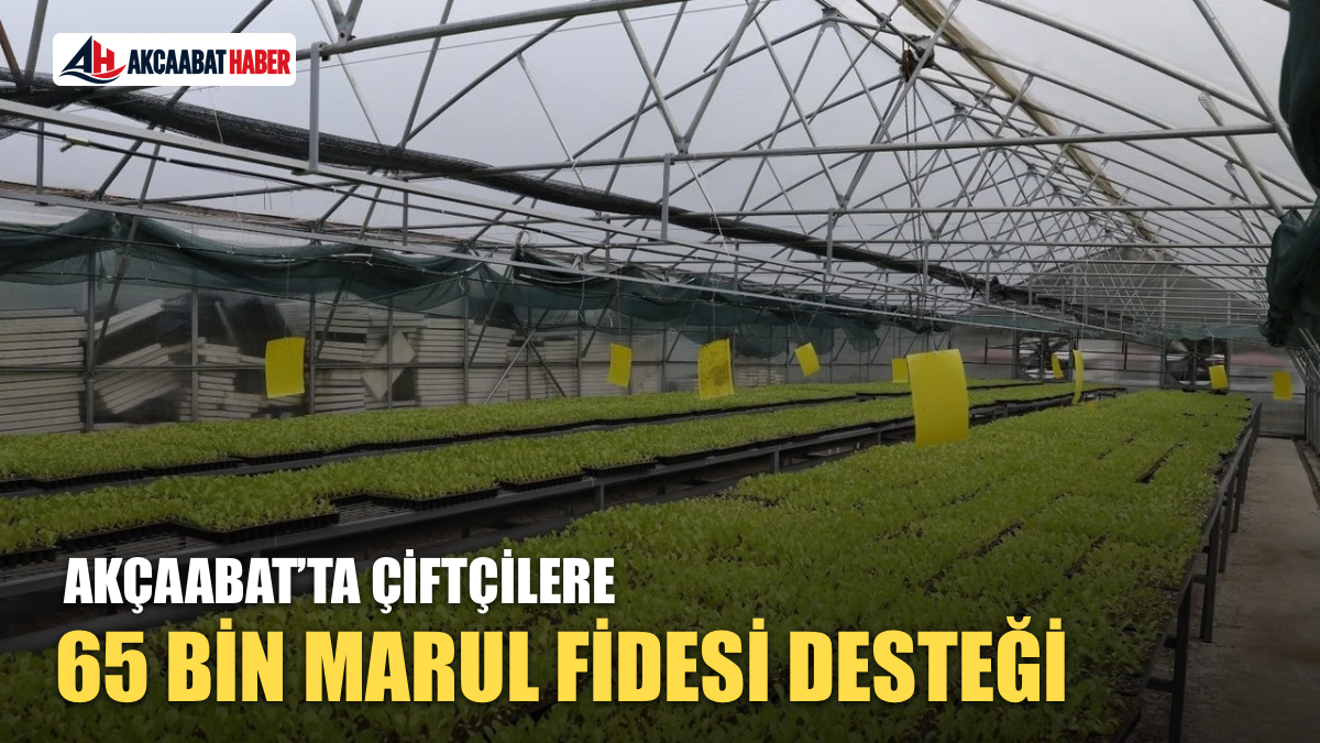 Ak&ccedil;aabat&rsquo;ta &Ccedil;ift&ccedil;ilere 65 Bin Marul Fidesi Desteği